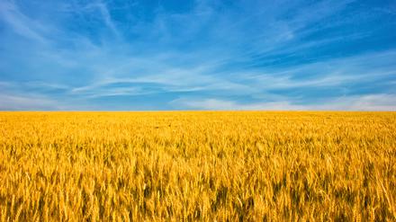 AdobeStock_490591323.jpeg