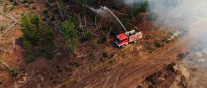 Einsatzkräfte der Feuerwehr bekämpfen in einem Waldstück ein Feuer. 