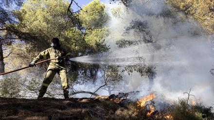 Ein Feuerwehrmann versucht einen Waldbrand auf Kreta zu löschen. 