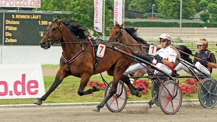 Trabrennfahrer Robin Bakker beim Adbell-Toddington-Rennen in Mariendorf.