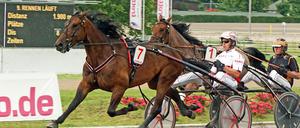 Trabrennfahrer Robin Bakker beim Adbell-Toddington-Rennen in Mariendorf.