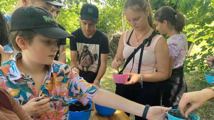 Deutsche und polnische Kinder und Jugendliche entdecken in den Sommercamps von Hochdrei e.V. zusammen die Welt.