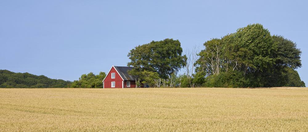 Einsames traditionelles rotes Holzhaus in Südschweden.