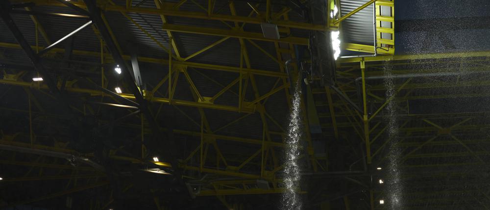 Erst viel Wasser und dann auch noch ein Kletterfreund. Das Dortmunder Stadiondach wurde beim Achtelfinale Deutschland - Dänemark ordentlich beansprucht.