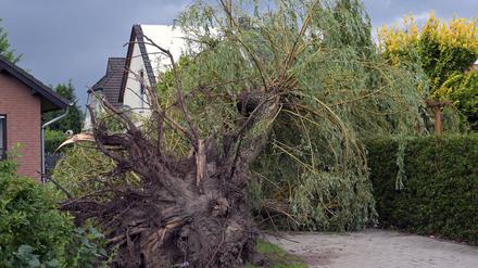 Die Feuerwehr war in Cottbus zu zahlreichen wetterbedingten Einsätzen ausgerückt.