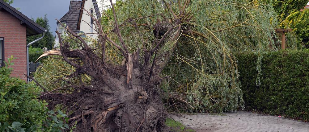 Die Feuerwehr war in Cottbus zu zahlreichen wetterbedingten Einsätzen ausgerückt.