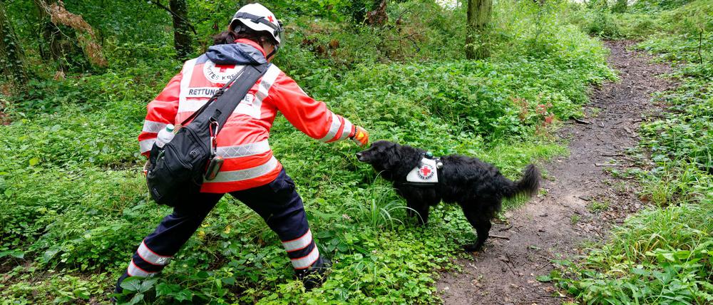 Polizei sucht mit Großaufgebot nach vermisstem Mädchen