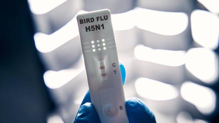 In einem amerikanischen Geflügelbetrieb breitet sich das Virus in der Belegschaft aus.