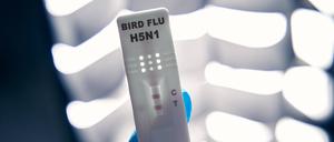 In einem amerikanischen Geflügelbetrieb breitet sich das Virus in der Belegschaft aus.