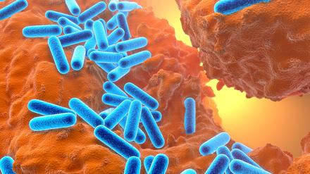 3D-Illustration von Pseudomonas aeruginosa. 