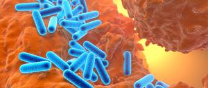 3D-Illustration von Pseudomonas aeruginosa. 