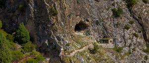 Im Gebiet der Baishiya-Höhle kommen heute nocht Tiere vor, die schon von den Frühmenschen gejagt wurden.