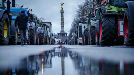 Anfag des Jahres demonstrierten rund 10.000 Landwirte und Lkw-Fahrer gegen die Abschaffung von Diesel-Subventionen.