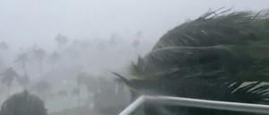 Bäume biegen sich im starken Wind des Hurrikans „Beryl“ in Montego Bay, Jamaika.