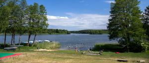 Badegäste nutzen die Badestelle auf dem Gelände des «Naturcamping am Ellbogensee». 