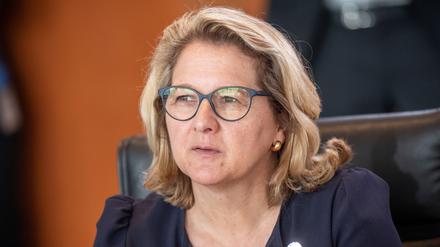 Svenja Schulze (SPD), Bundesministerin für wirtschaftliche Zusammenarbeit und Entwicklung, gehört zu den Verliererinnen des Deals.