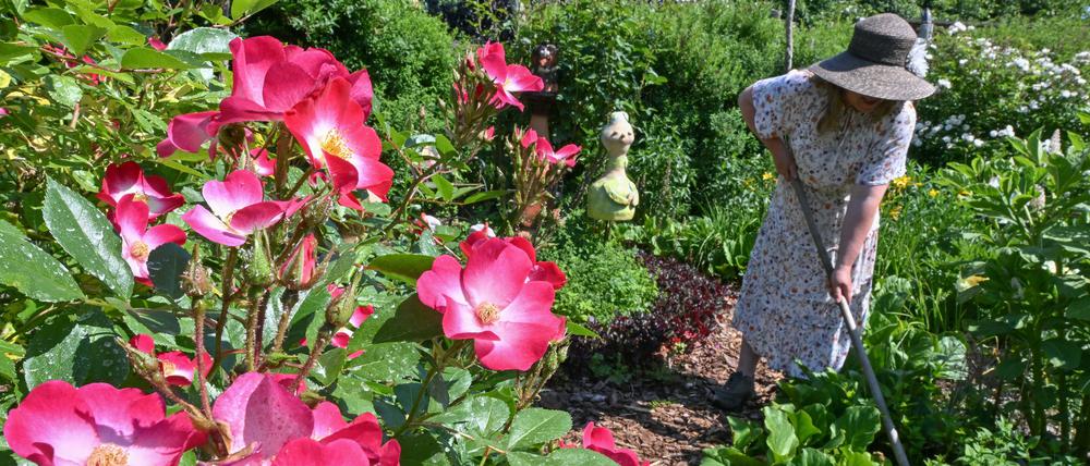 Eine Hobbygärtnerin arbeitet in ihrem Garten.