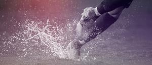 Zu tief, seifig oder stumpf: Naturrasen stößt bei Sportlern immer wieder auf Unzufriedenheit.