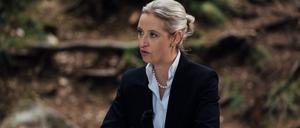 Alice Weidel, Bundesvorsitzende der AfD, spricht beim ZDF-Sommerinterview in «Berlin direkt» in einem Wald am sogenannten „Geographischen Mittelpunkt Sachsens“.