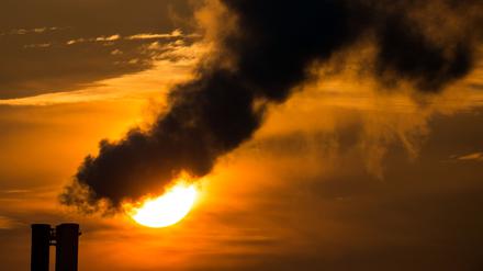 Die Morgensonne scheint hinter qualmenden Schornsteinen eines Blockheizkraftwerks in Frankfurt (Oder) (Brandenburg).