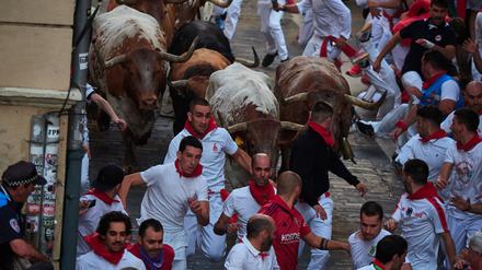 Teilnehmende laufen mit den Stieren der Ranch Cebada Gago während des zweiten Tages des Stiertreibens des San-Fermín-Fests. 