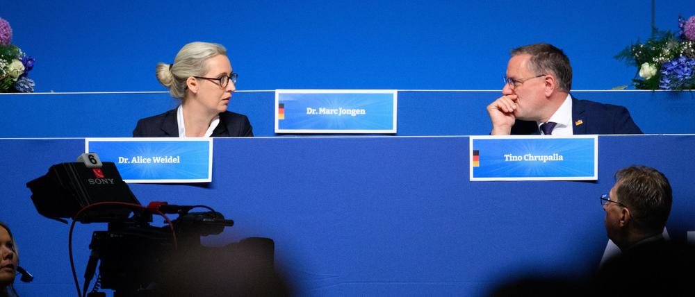 AfD-Chefs Weidel und Chrupalla