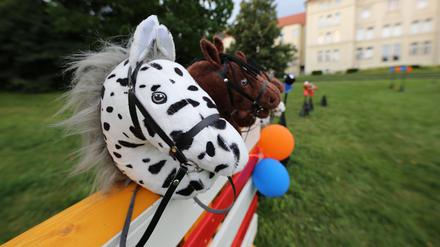 Fürs Hobby Horsing unverzichtbar: das Steckenpferd. 20 bis 200 Euro kostet die Anschaffung. 