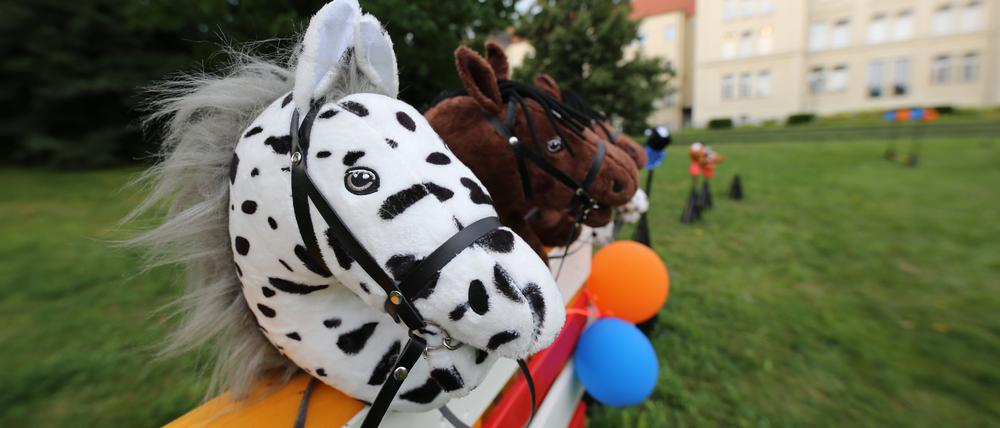 Fürs Hobby Horsing unverzichtbar: das Steckenpferd. 20 bis 200 Euro kostet die Anschaffung. 