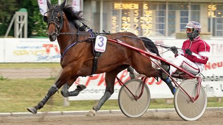 Marciano Hauber will beim Buddenbrock-Rennen für Aufsehen sorgen.