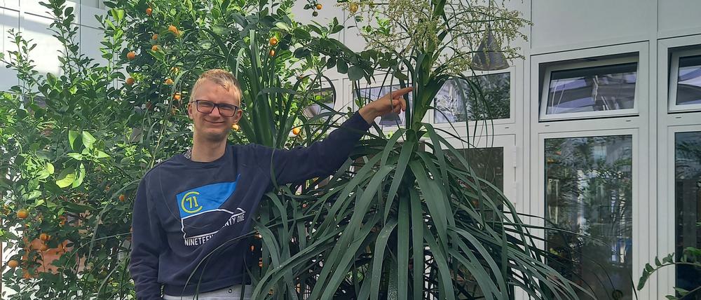 Elefantenfuß mit Pascal vom Mosaik.