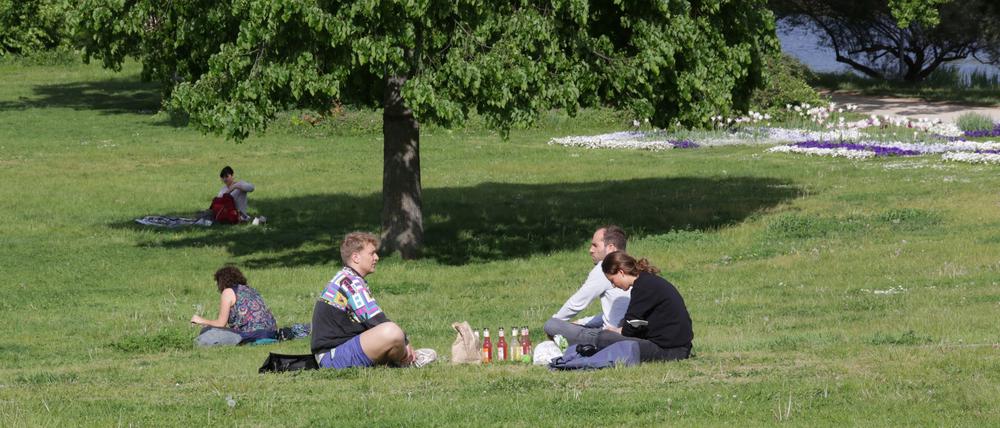 Die Grünflächen und Parks Potsdams werden analysiert.