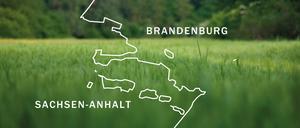 Brandenburg und Sachsen-Anhalt haben einen Flächentausch vereinbart.