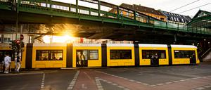 Eine Tram der Linie M1 auf der Schönhauser Allee.