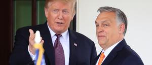 Trump gilt wie Orban als offen für Verhandlungen mit Russlands Präsident Wladimir Putin.