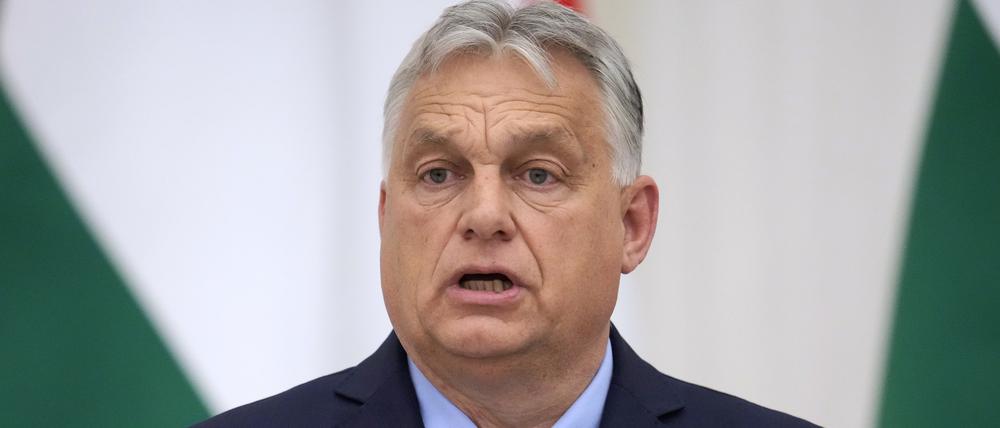 Der ungarische Ministerpräsident Viktor Orban.