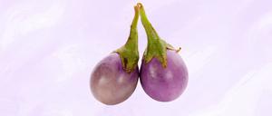 Aubergine auf leicht violettem Hintergrund - Optik für Hodenkrebs
