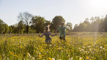 Zwei Kinder laufen über ein Feld voller blühender Blumen.