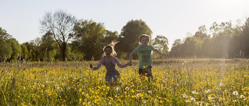 Zwei Kinder laufen über ein Feld voller blühender Blumen.