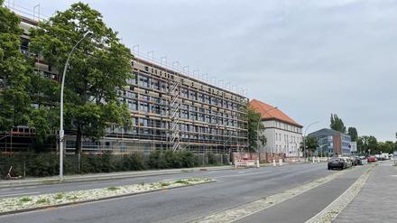 Die neue Grundschule entsteht am Askanierring.