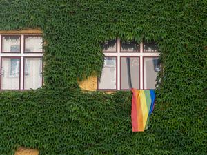 Eine Regenbogenfahne hängt in Berlin-Prenzlauer Berg aus einem Fenster. (Symbolbild)
