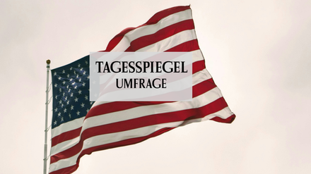 Umfrage Tagesspiegel