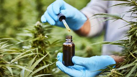 Für den Verkauf von CBD-Produkten braucht es eine Genehmigung. Als Arzneimittel ist es bisher nur gegen Epilepsie klinisch getestet und anerkannt.