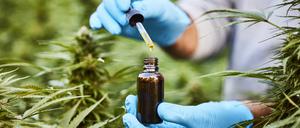 Für den Verkauf von CBD-Produkten braucht es eine Genehmigung. Als Arzneimittel ist es bisher nur gegen Epilepsie klinisch getestet und anerkannt.
