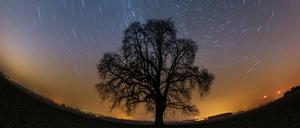 Durch eine Langzeitbelichtung beim Fotografieren wird am Sternenhimmel die Erdrotation sichtbar. Der Himmel scheint sich um den Polarstern zu drehen.
