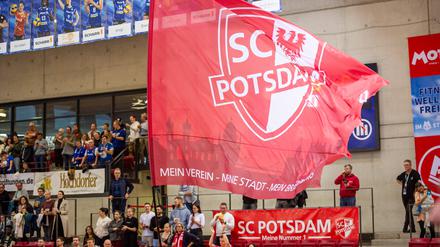 SC-Potsdam-Fans mit einer großen Fahne (Symbolbild).