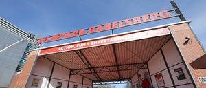 Am Wochenende wird der Filmpark Babelsberg zum Zentrum der Anime-Szene.