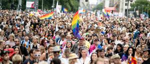 Der Berliner CSD ist eine der größten Veranstaltungen der lesbischen, schwulen, bisexuellen, trans-, intergeschlechtlichen und queeren (LGBTIQ) Community in Europa. 
