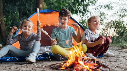 Brandenburg hat Kindern viel zu bieten.