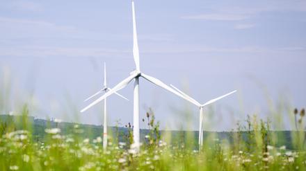Die wichtigsten erneuerbaren Quellen elektrischer Energie sind Wasserkraft, Solar und Wind.