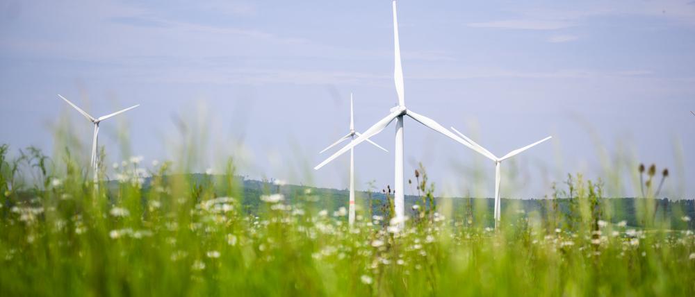 Die wichtigsten erneuerbaren Quellen elektrischer Energie sind Wasserkraft, Solar und Wind.